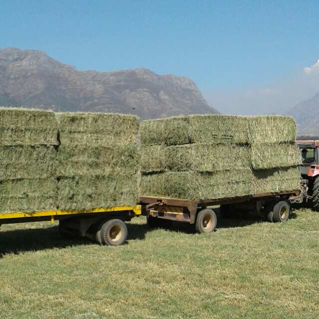 Commercial Property for Sale in Wolseley Western Cape